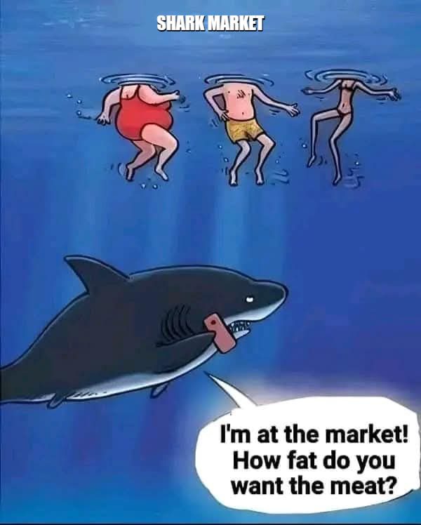 Shark market